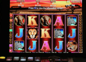 星空电竞app最新版