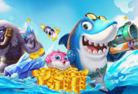 星空电竞app2024最新版